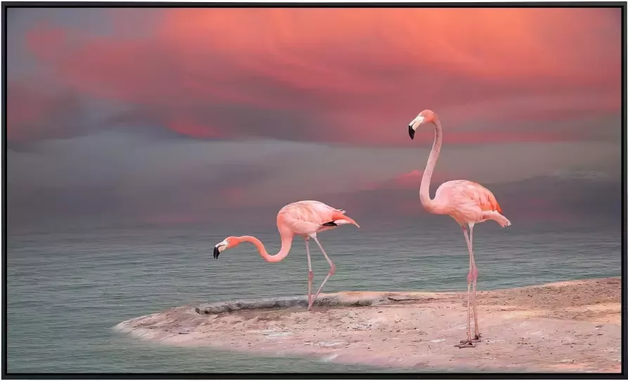 Papermoon Infraroodverwarming Flamingo zeer aangename stralingswarmte - Foto 5