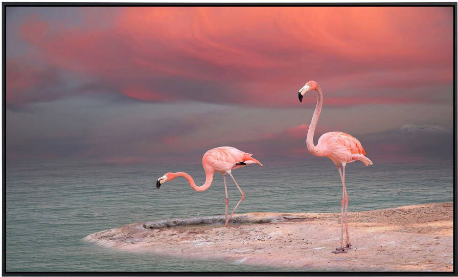 Papermoon Infraroodverwarming Flamingo zeer aangename stralingswarmte - Foto 5