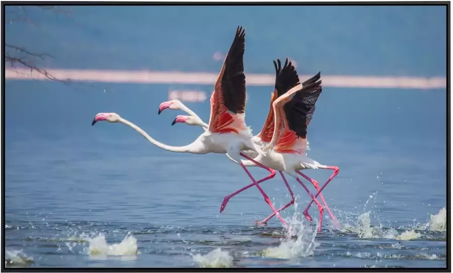 Papermoon Infraroodverwarming Flamingo's vliegen weg zeer aangename stralingswarmte - Foto 5