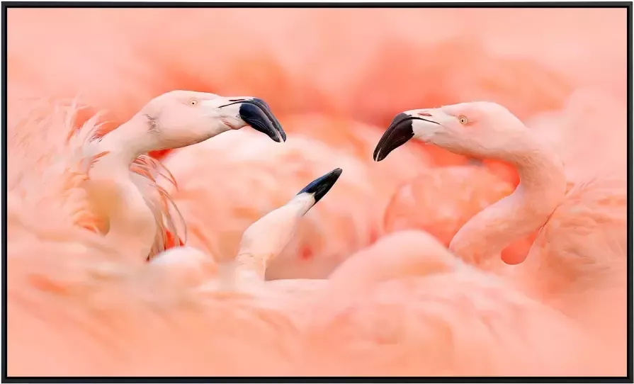 Papermoon Infraroodverwarming Flamingo's zeer aangename stralingswarmte - Foto 5