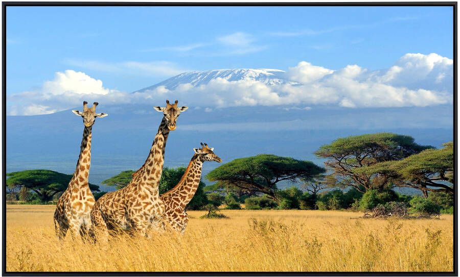 Papermoon Infraroodverwarming Giraffen bij de Kilimanjaro zeer aangename stralingswarmte - Foto 5