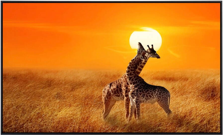 Papermoon Infraroodverwarming Giraffen tegen zonsondergang zeer aangename stralingswarmte - Foto 5