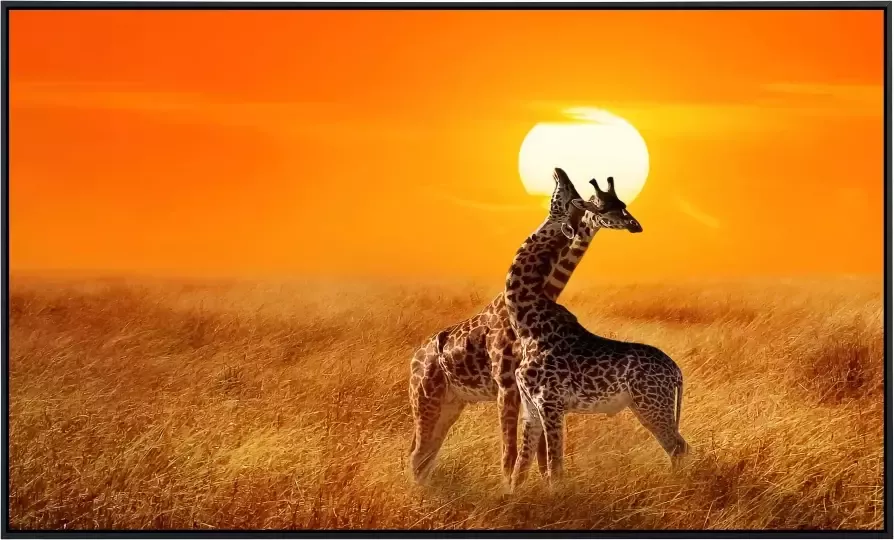 Papermoon Infraroodverwarming Giraffen tegen zonsondergang zeer aangename stralingswarmte - Foto 5
