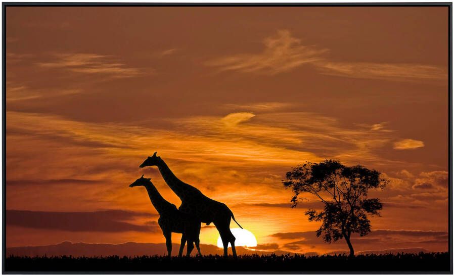 Papermoon Infraroodverwarming Giraffen voor zonsondergang zeer aangename stralingswarmte - Foto 5