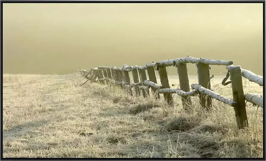 Papermoon Infraroodverwarming Hek in nevelige veld zeer aangename stralingswarmte - Foto 5