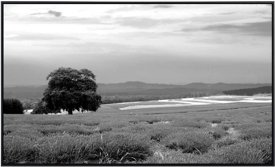 Papermoon Infraroodverwarming Landschap zwart & wit zeer aangename stralingswarmte - Foto 5