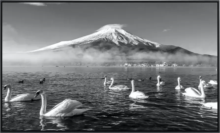 Papermoon Infraroodverwarming Mount Fuji met zwanen zwart & wit - Foto 5