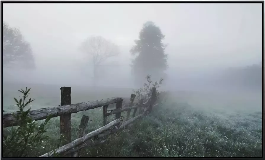 Papermoon Infraroodverwarming Nevelig veld zeer aangename stralingswarmte - Foto 5