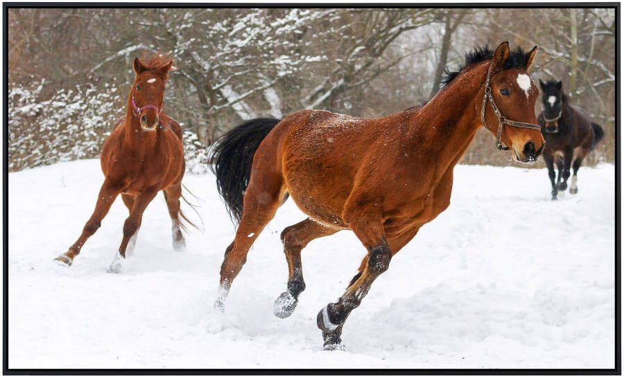 Papermoon Infraroodverwarming Paarden in de sneeuw zeer aangename stralingswarmte - Foto 5