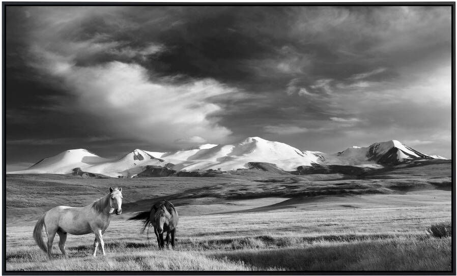 Papermoon Infraroodverwarming Paarden steppe zwart & wit zeer aangename stralingswarmte - Foto 5