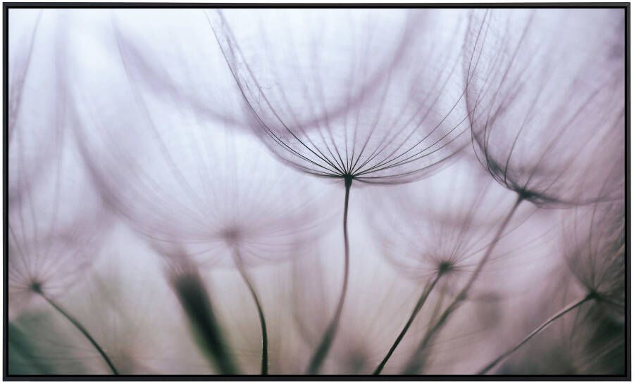 Papermoon Infraroodverwarming Paars abstracte paardenbloem zeer aangename stralingswarmte - Foto 5