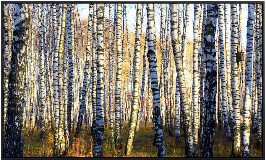 Papermoon Infraroodverwarming Parallellen van een berkenbos zeer aangename stralingswarmte - Foto 5