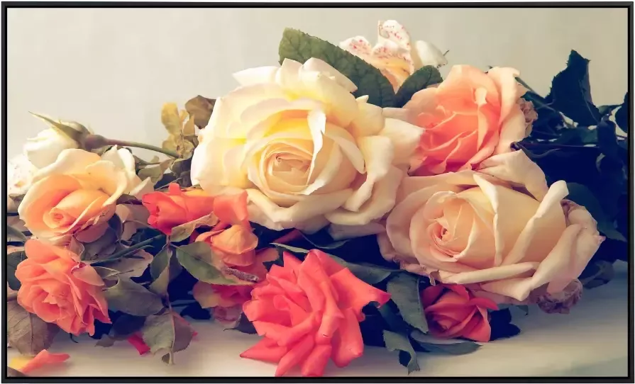 Papermoon Infraroodverwarming Vintage rozen zeer aangename stralingswarmte - Foto 5