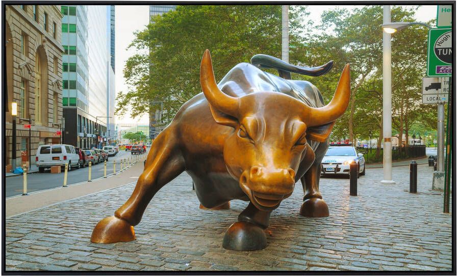 Papermoon Infraroodverwarming Wall Street Bull zeer aangename stralingswarmte - Foto 5