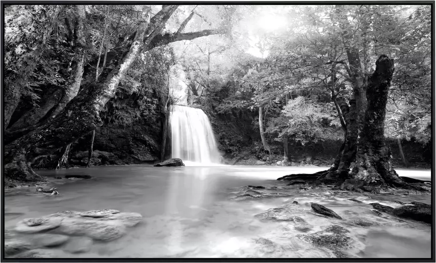 Papermoon Infraroodverwarming Waterval in het bos zwart & wit - Foto 5