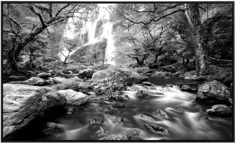 Papermoon Infraroodverwarming Waterval in het bos zwart & wit - Foto 5