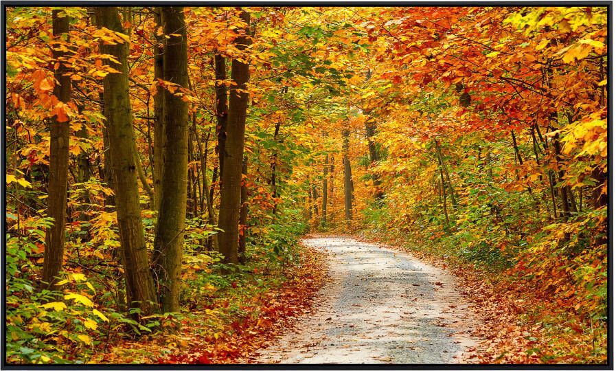 Papermoon Infraroodverwarming Weg in kleurrijke herfstbos zeer aangename stralingswarmte - Foto 5