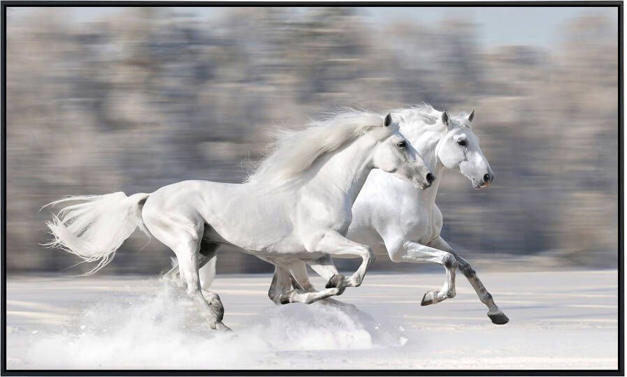 Papermoon Infraroodverwarming Witte paarden zeer aangename stralingswarmte - Foto 5