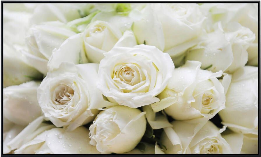Papermoon Infraroodverwarming Witte rozen zeer aangename stralingswarmte - Foto 5