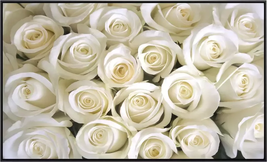 Papermoon Infraroodverwarming Witte rozen zeer aangename stralingswarmte - Foto 5
