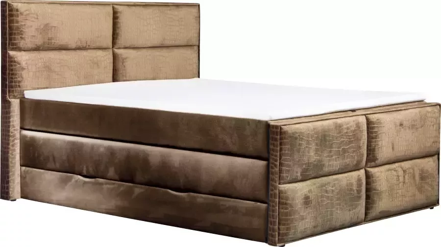 Places of Style Boxspring Croco Topmatras en bedkist in 4 breedten 2 matrassoorten 3 hardheden - Foto 6