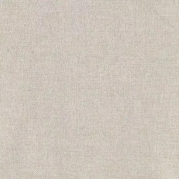Places of Style Eetkamerstoel Nanaimo Stof gerecycled polyester zacht verdikte zitting en rugleuning zithoogte 49 cm (2 stuks) - Foto 10