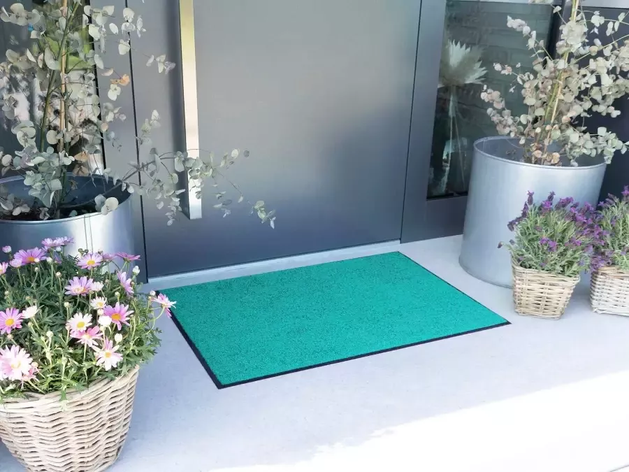 Primaflor-Ideen in Textil Mat Clean Inloopmat grote keus in kleuren wasbaar - Foto 2