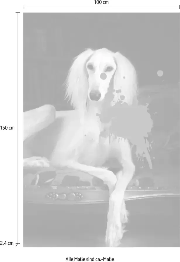 Queence Artprint op acrylglas Hond met kleurvlek Fine Art-print in galeriekwaliteit - Foto 5