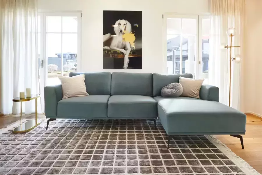 Queence Artprint op acrylglas Hond met kleurvlek Fine Art-print in galeriekwaliteit - Foto 5