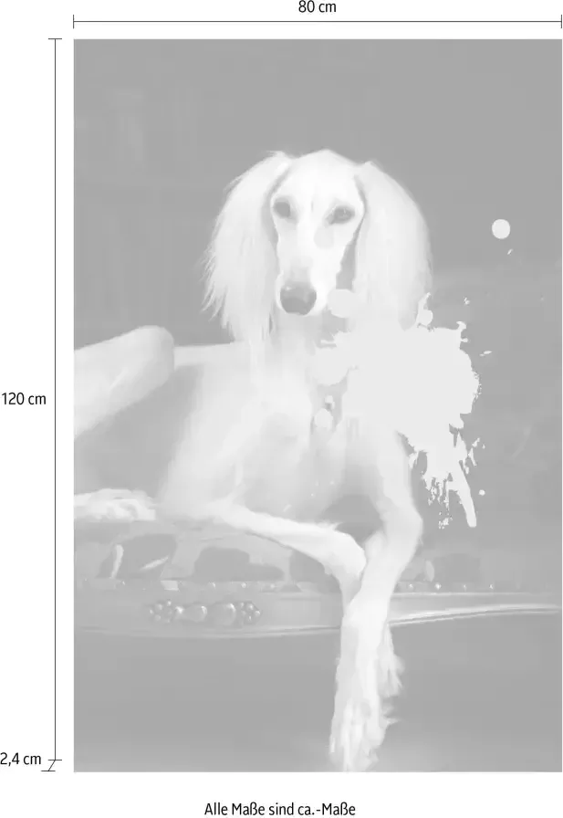 Queence Artprint op acrylglas Hond met kleurvlek Fine Art-print in galeriekwaliteit - Foto 3