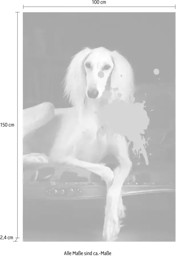 Queence Artprint op acrylglas Hond met kleurvlek Fine Art-print in galeriekwaliteit - Foto 3