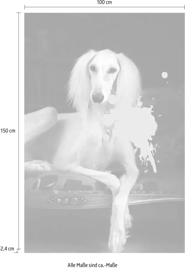 Queence Artprint op acrylglas Hond - Foto 3