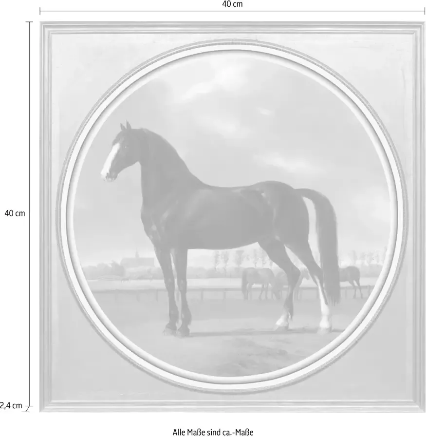 Queence Artprint op acrylglas Paard - Foto 1