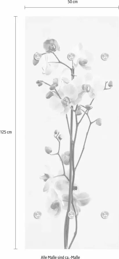 Queence Kapstok Orchidee met 6 haken 50 x 120 cm - Foto 4