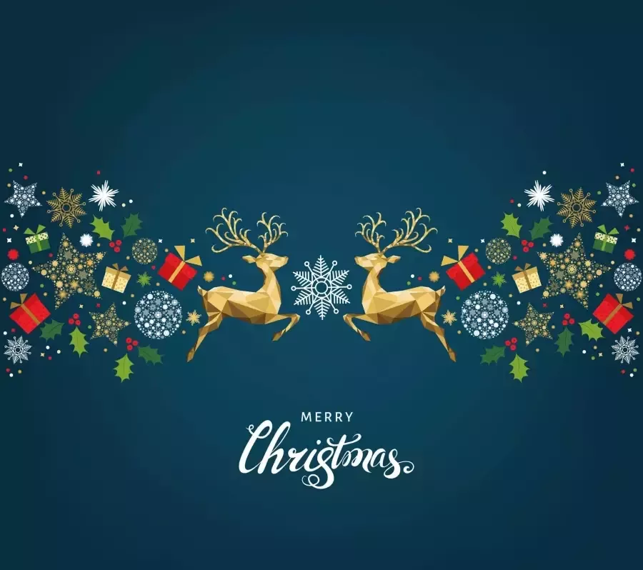 Queence Sierkussen David Kussenhoes Vrolijk Kerstfeest uitspraak feestelijk kerst rood wit (1 stuk) - Foto 3