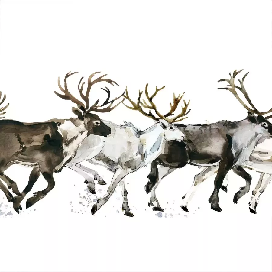 Queence Sierkussen Enzo Kussenhoes herten elanden witte achtergrond kerst feestelijk (1 stuk)