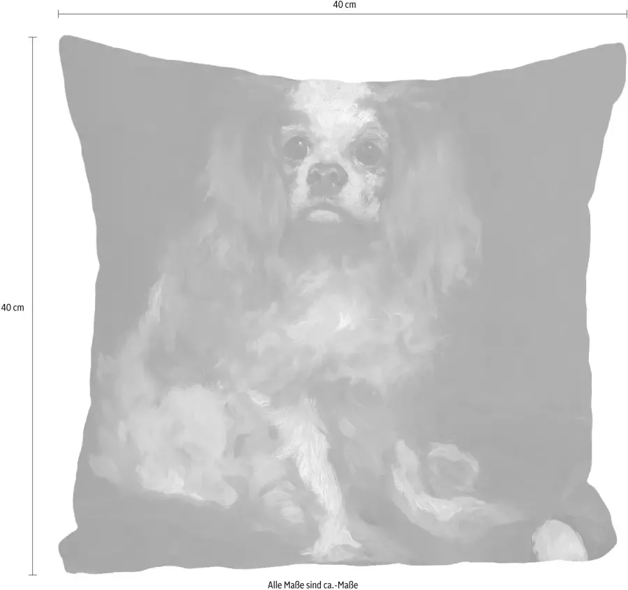 Queence Sierkussen Hond Kussenovertrek zonder vulling(1 stuk) - Foto 3