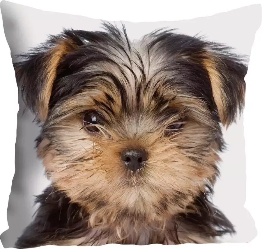 Queence Sierkussen Ines Kussenhoes hond schattig dierenmotief lief speels zacht vrolijk (1 stuk) - Foto 2