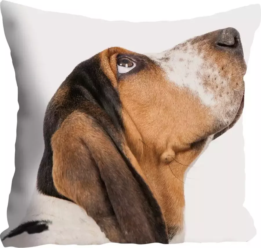 Queence Sierkussen Jens Hond in teckel-look kussenovertrek zonder vulling(1 stuk) - Foto 2