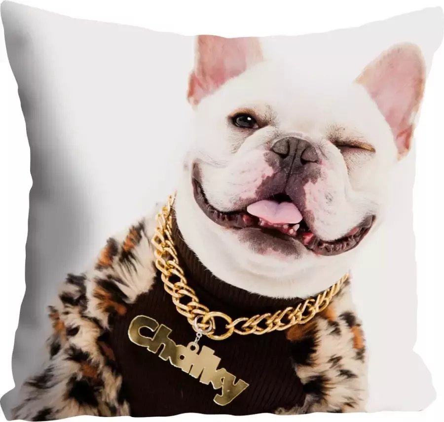 Queence Sierkussen Lars met hond in rapperoutfit kussenovertrek zonder vulling(1 stuk) - Foto 2