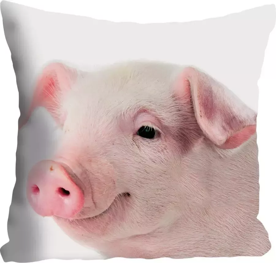 Queence Sierkussen Rebecca Kussenhoes schattig varkentje roze schattig dierenmotief grappig (1 stuk) - Foto 2