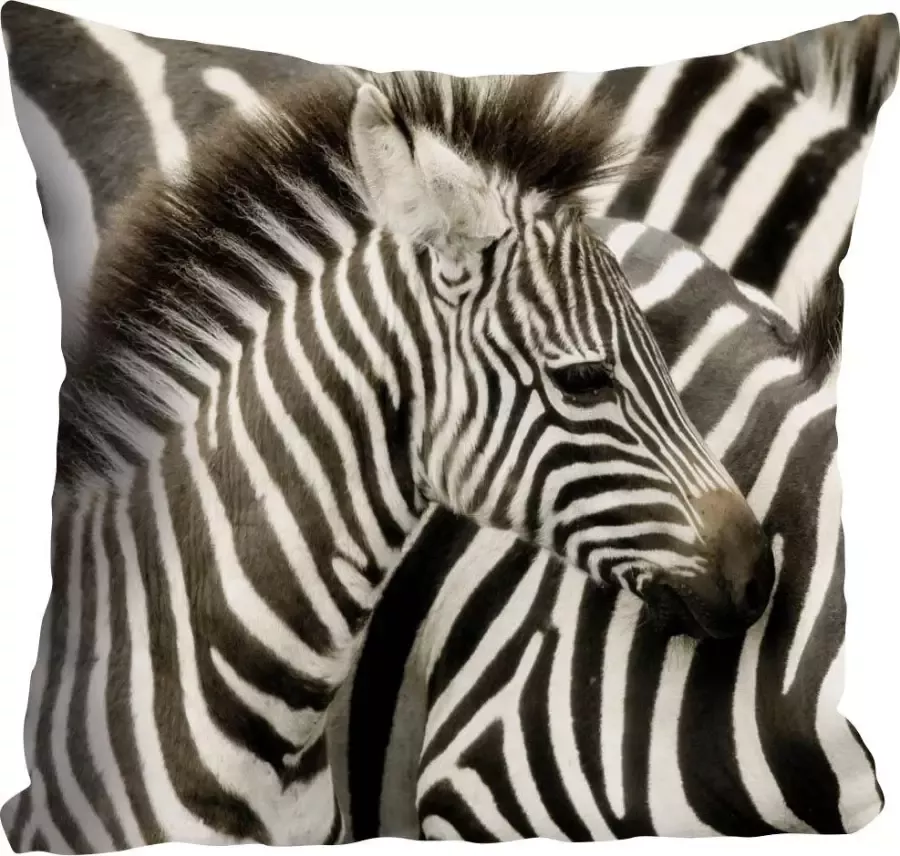 Queence Sierkussen Richard Kussenhoes zebra's zwart-wit dieren streepjespatroon Afrikaans wild (1 stuk) - Foto 2