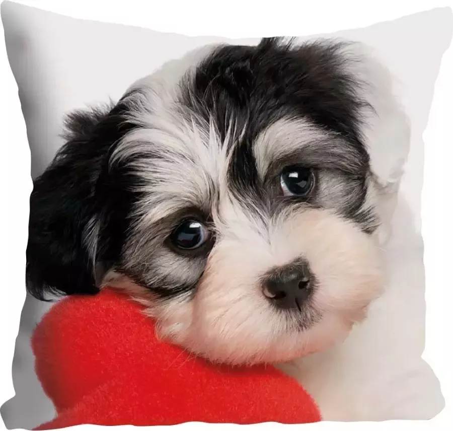 Queence Sierkussen Vanessa Kussenhoes schattige kleine hond schattig dierenmotief charmant vriendelijk (1 stuk) - Foto 2