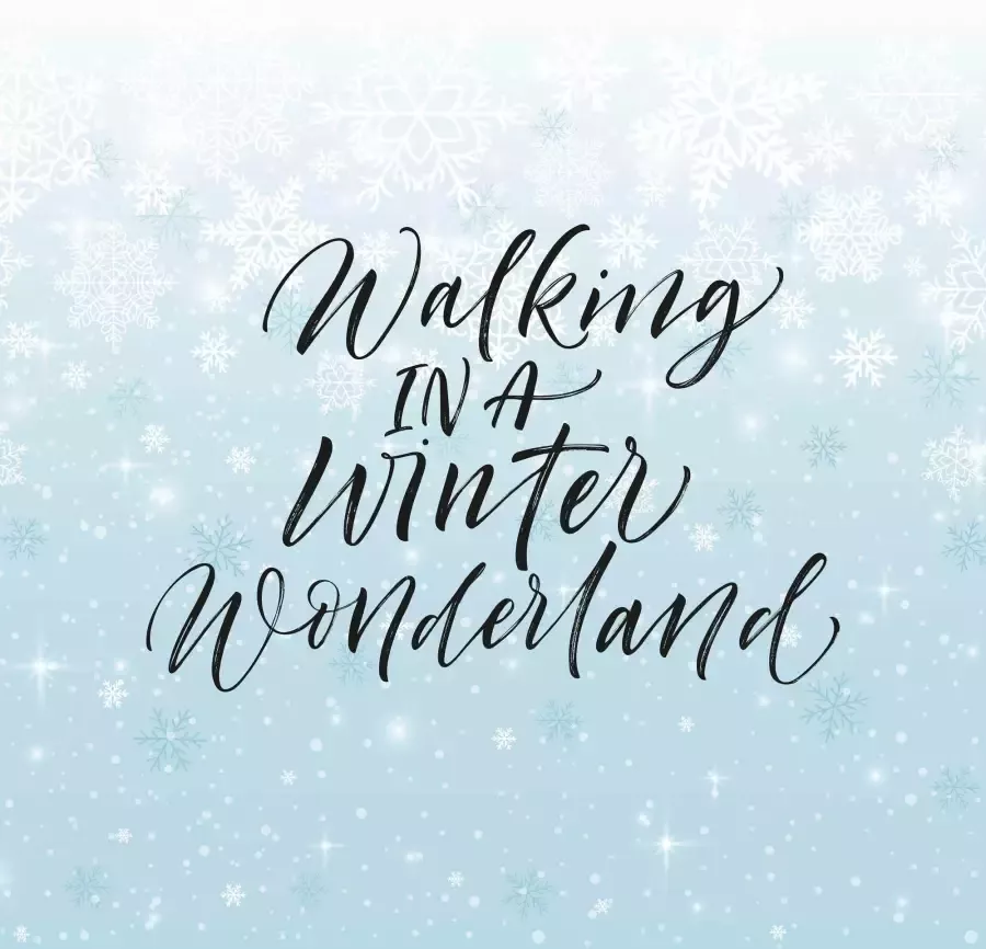 Queence Sierkussen Winter Wonderland Kussenhoes Wandelen in een Winter Wonderland uitspraak kerst winter (1 stuk) - Foto 2