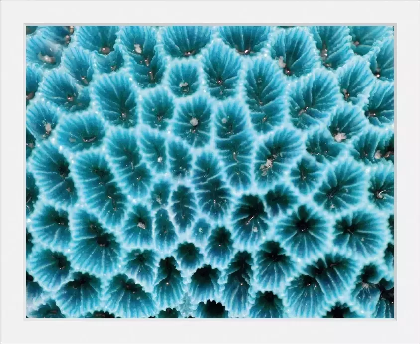 Queence Wanddecoratie AGATA HD premium posterdruk incl. houten lijst (1 stuk) - Foto 5