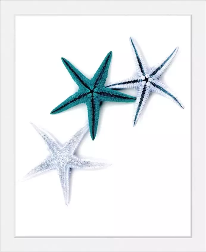 Queence Wanddecoratie Laura HD premium posterdruk incl. houten lijst (1 stuk) - Foto 5