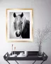 Queence Wanddecoratie Paardenkop in 3 maten ingelijst - Thumbnail 2