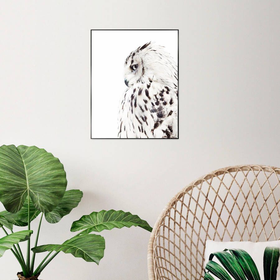 Reinders! Artprint met lijst White Owl - Foto 1