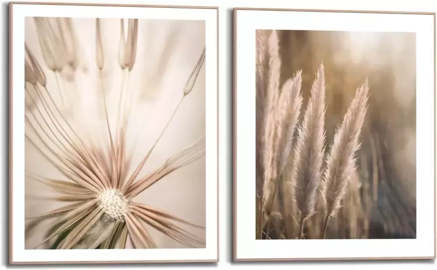 Reinders! Artprint Natuur botanisch pampa paardenbloem close-up (2-delig) - Foto 3