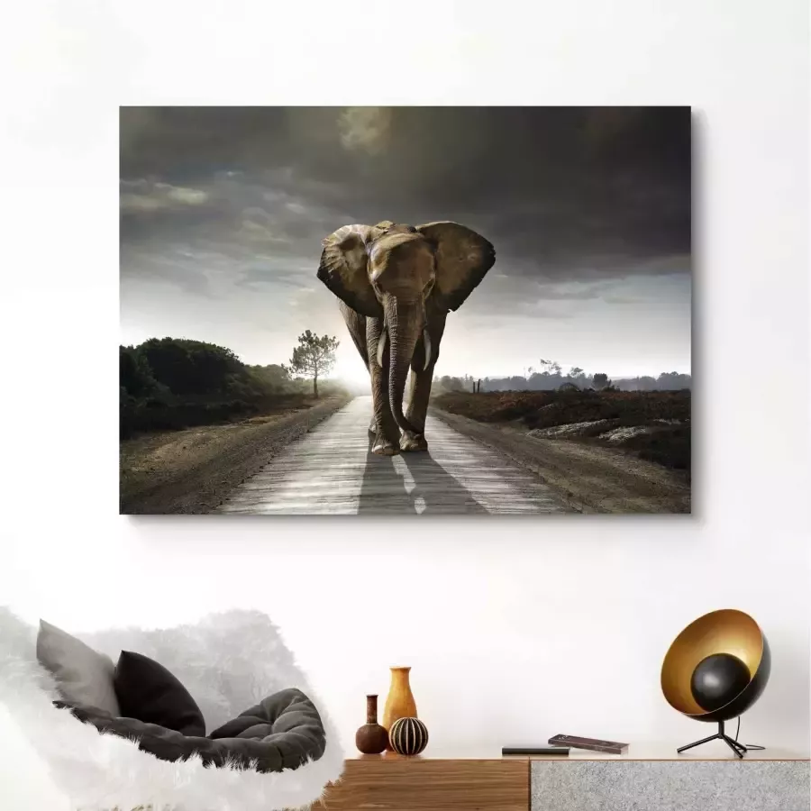 Reinders! Artprint Olifantenkoning diermotief olifant natuur